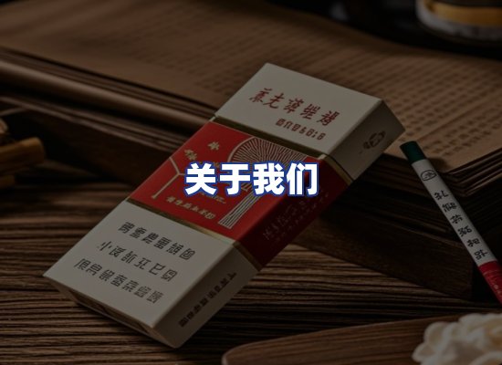 专业团队